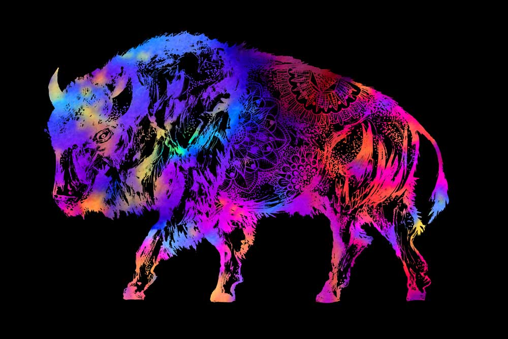 Rainbow Buffalo from Sebastian  Grafmann