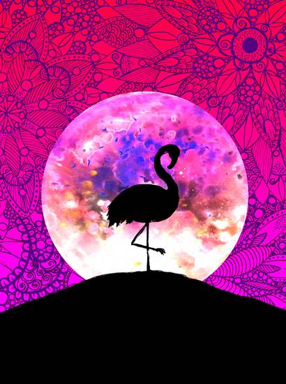 Flamingo Mond Hügel