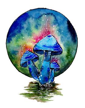 Toxic Blue Mushrooms