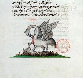 Ms 3401 A Pelican Piercing its Breast to Feed its Young, from a Bestiary by Manuel Philes, 1566 (vel
