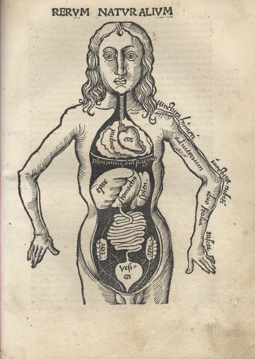 Margarita Philosophica. Anatomy from Gregor Reisch
