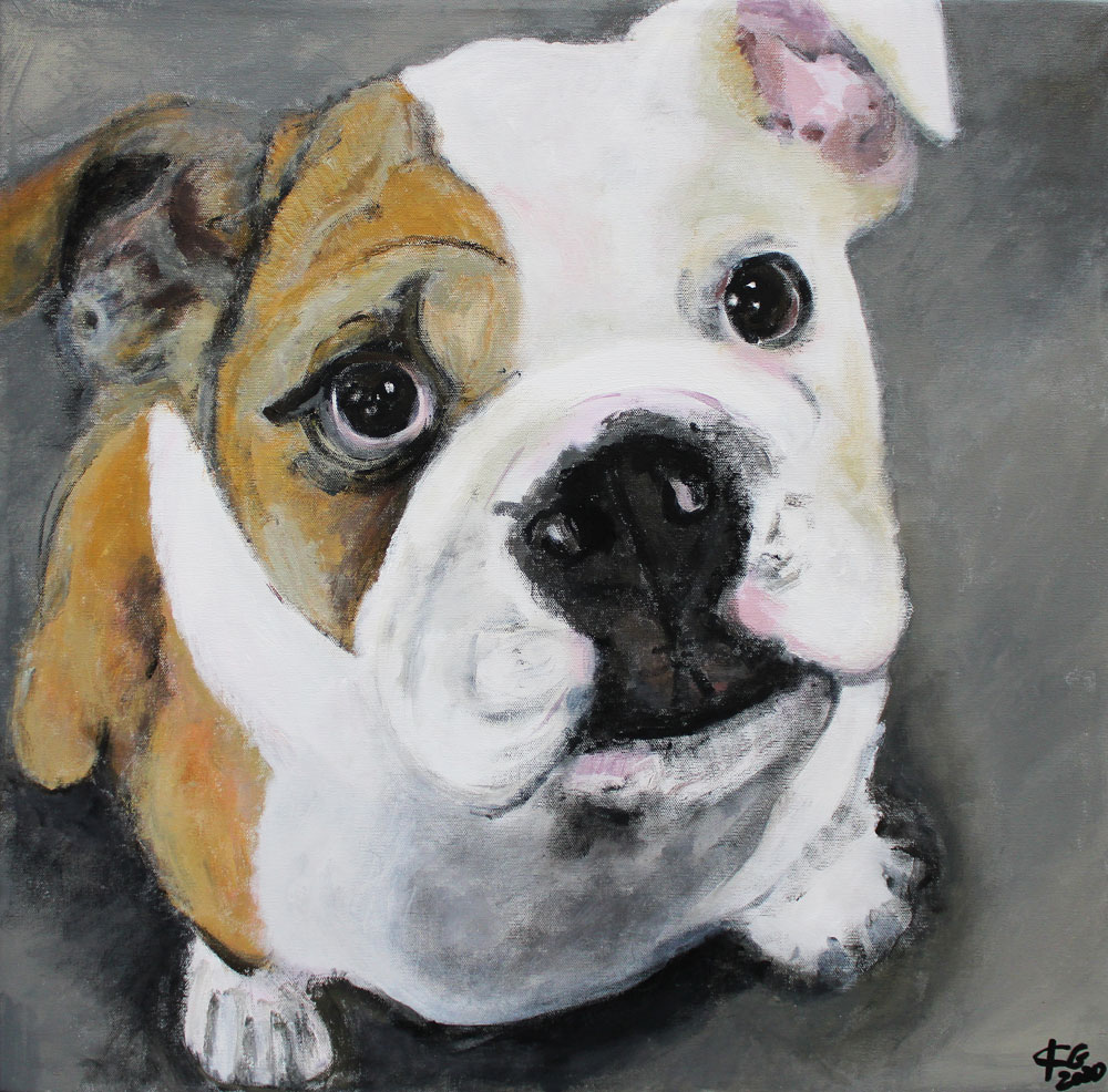 Bulldogge from Karin Greife
