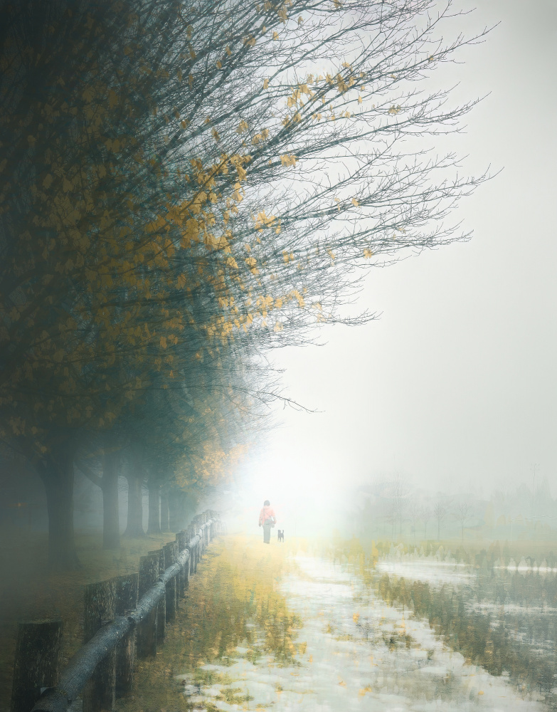 Misty Morning Stroll from Gu and Hongchao