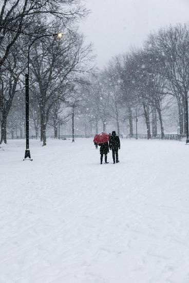 Central Park Winter Lovers