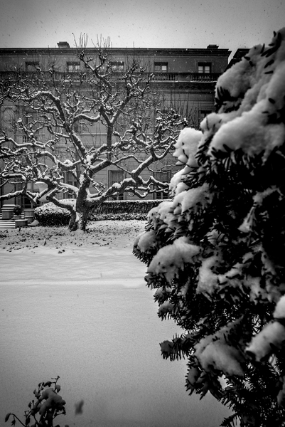 Frick Collection Winter N¬∫1 from Guilherme Pontes