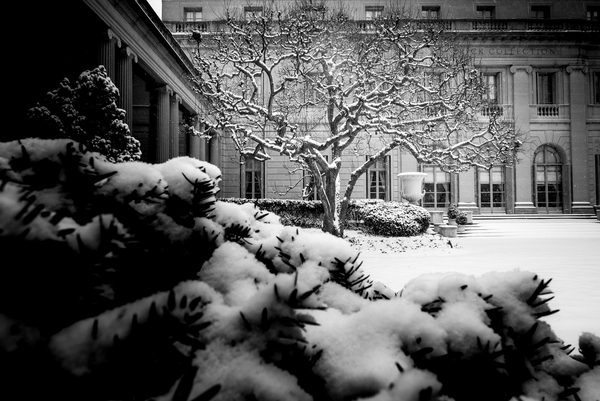 Frick Collection Winter N¬∫3 from Guilherme Pontes