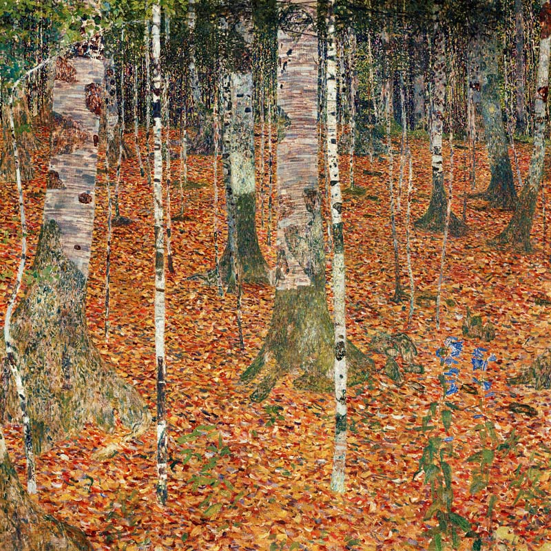 Birch woods in autumn. from Gustav Klimt