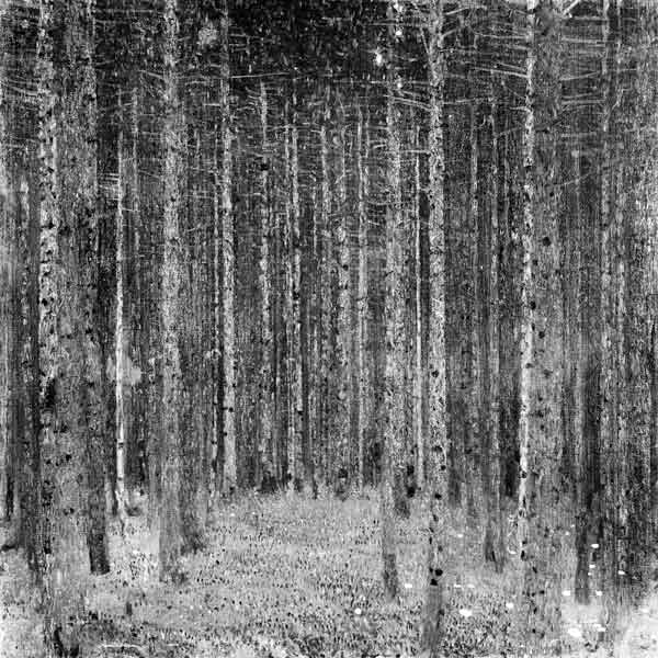Fir Forest I from Gustav Klimt