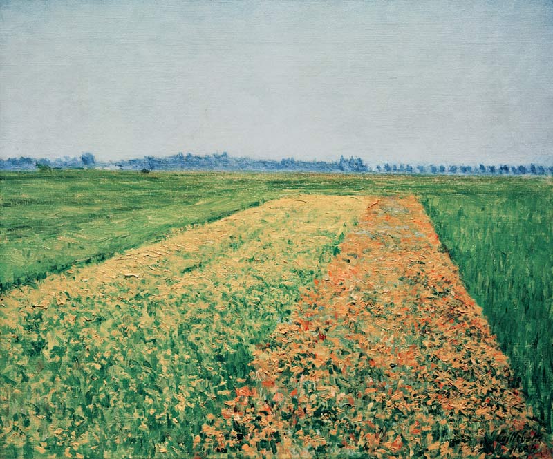 Fields at Gennevilliers from Gustave Caillebotte