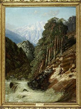 Alpine Landschaft mit Wildbach
