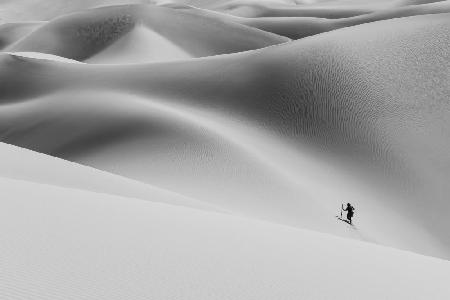 Shadow of the desert II