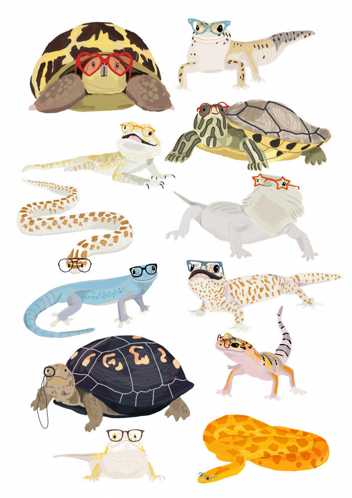 A1 Reptiles In Glasses from Hanna Melin