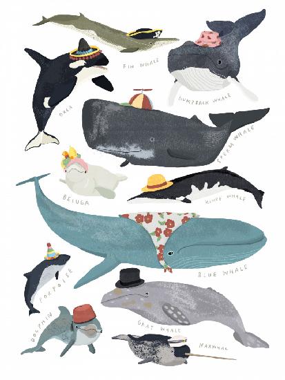 Whales In Hats