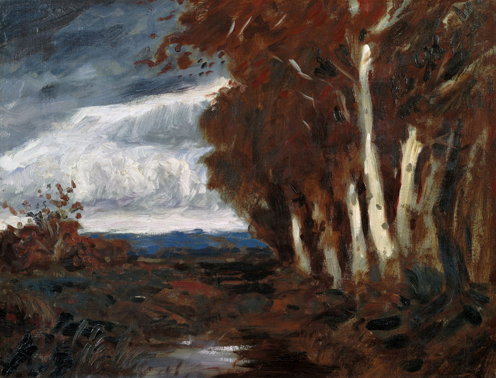 Autumn in the bog from Hans am Ende
