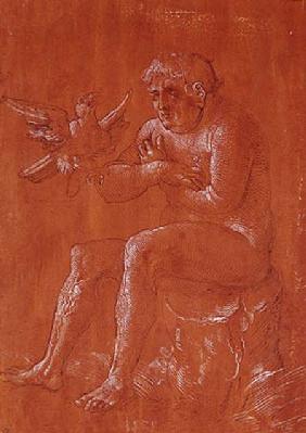 Nude man sitting on a tree trunk listening to a parrot (pen & ink and white chalk on red paper)
