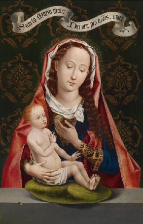 Madonna of the Apple