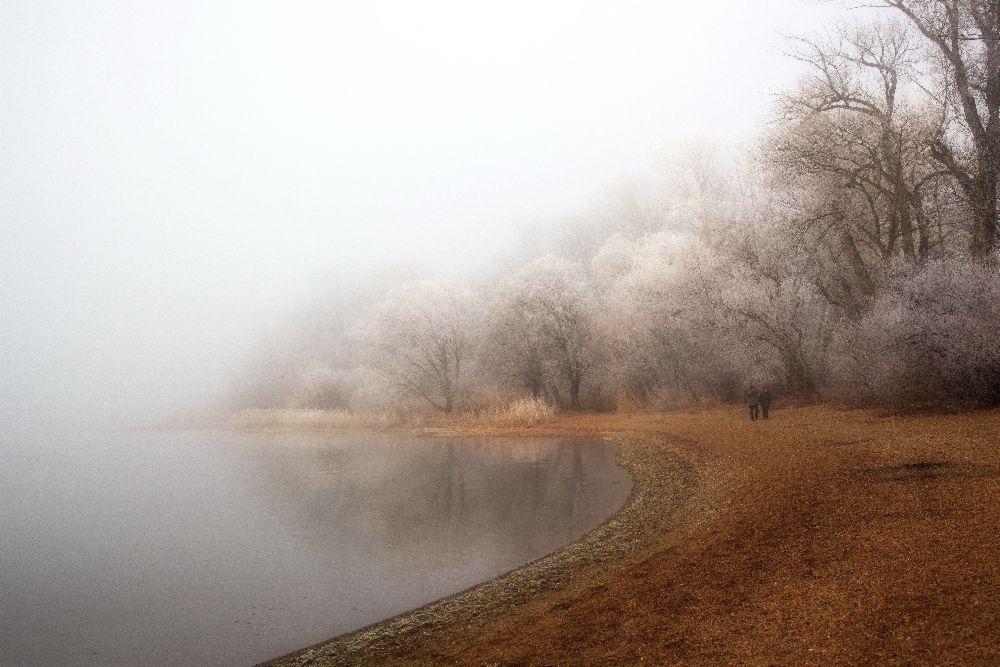 Fog and rime on the lake from Hans Peter Rank