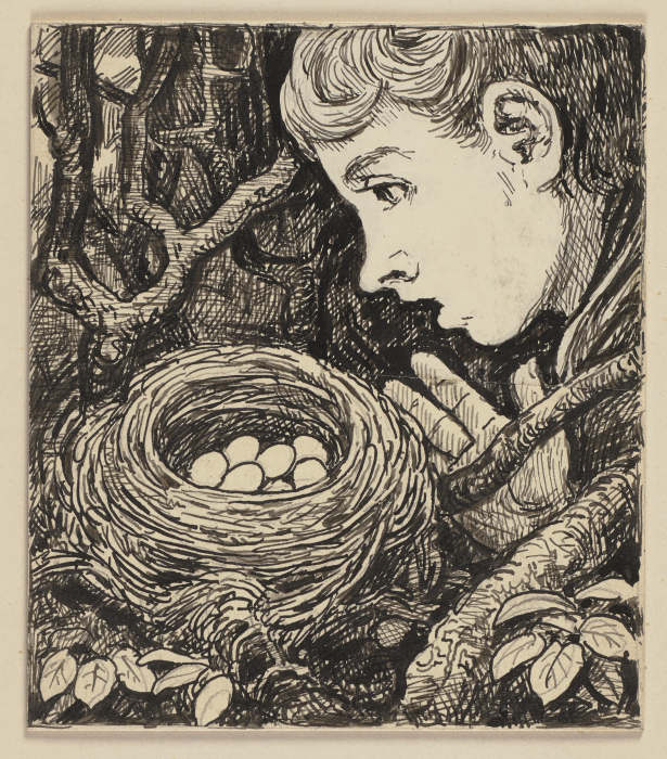 Zeichnung zur Fibel: Nest from Hans Thoma