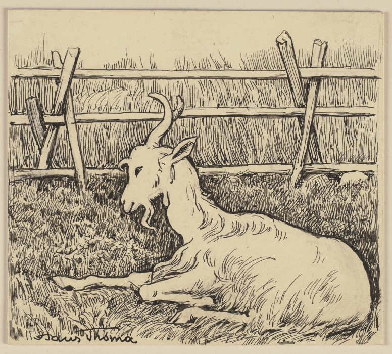 Zeichnung zur Fibel: Ziege from Hans Thoma