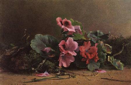 A Study of Geraniums from Hector Caffieri
