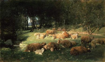 Sheep in the alder grove