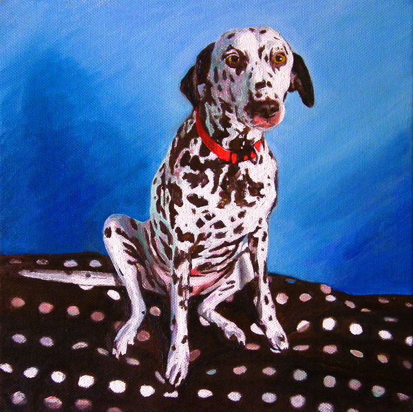 Dalmatian on spotty cushion from Helen White