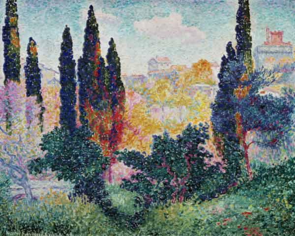 Cypresses in Cagnes