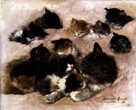 Study of cats and kittens from Henrietta Ronner-Knip