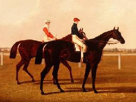 The Racehorses "Charles XII" and "Euclid" with Jockeys Up
