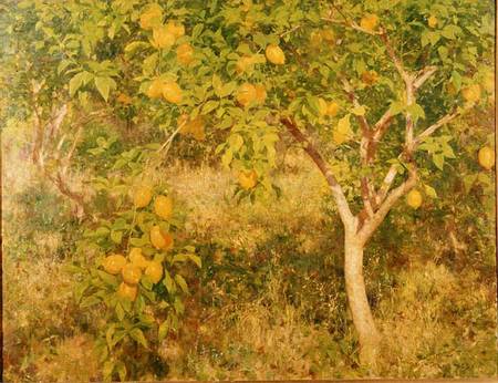 The Lemon Tree from Henry Scott Tuke