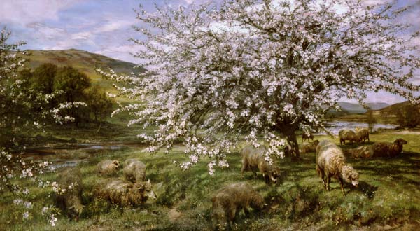 Orchard with sheep in spring (in Wales) from Henry William Banks Davis