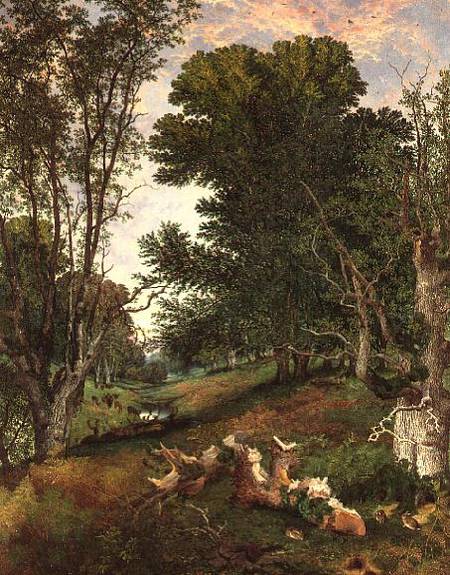 Towards Evening in the Forest from Henry William Banks Davis