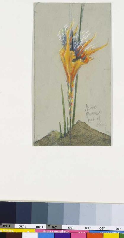 Fire flower II. (More Ground) from Hermann Obrist