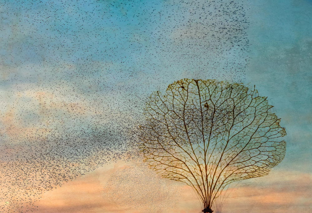 the birds and the tree from Hilda van der Lee