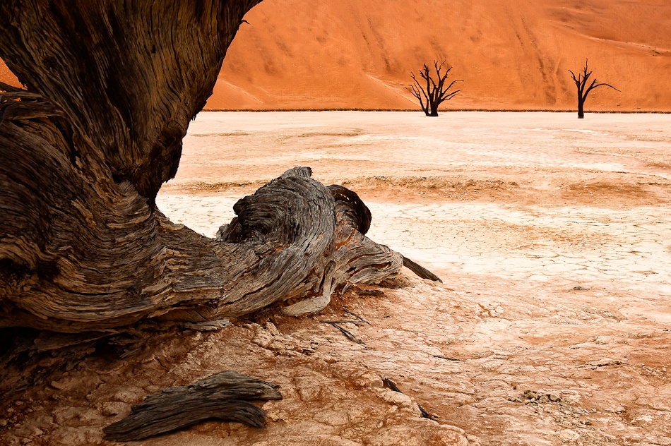 Deadvlei from a different point of view from Hilde Ghesquiere
