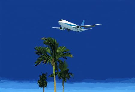 Airplane and palm tree