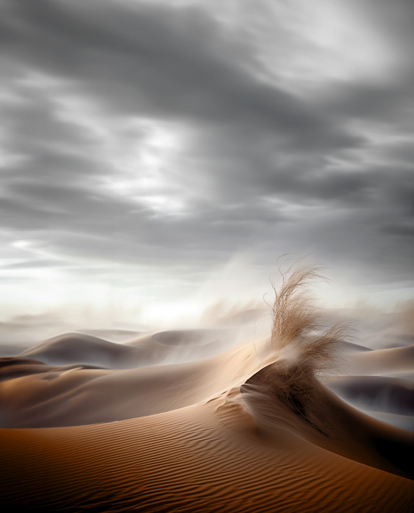 Desert Waves from Hosam.Karara