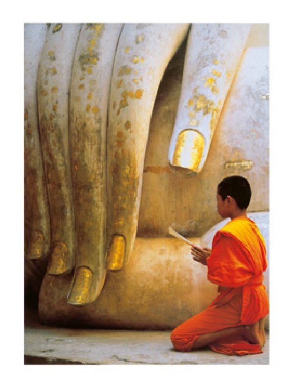 The Hand of Buddha from Hugh Sitton