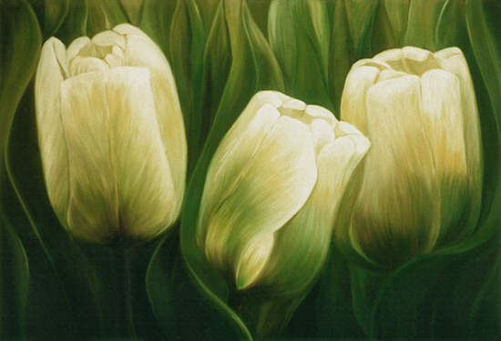 Tulips from Ingeborg Kuhn