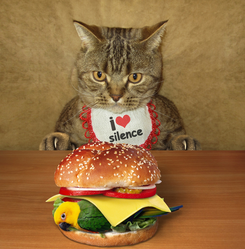 Cat and birdburger.... from Iryna Kuznetsova (Iridi)