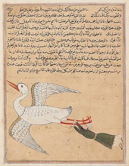 Ms E-7 fol.72a Merchant from Isfahan Flying, from 'The Wonders of the Creation and the Curiosities o from Islamic School