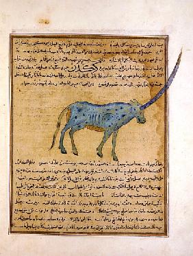 Ms E-7 fol.191b Rhinoceros, illustration from ''The Wonders of the Creation and the Curiosities of E