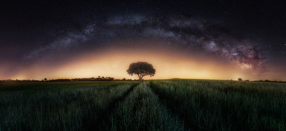 Milky way over lonely tree from Iván Ferrero