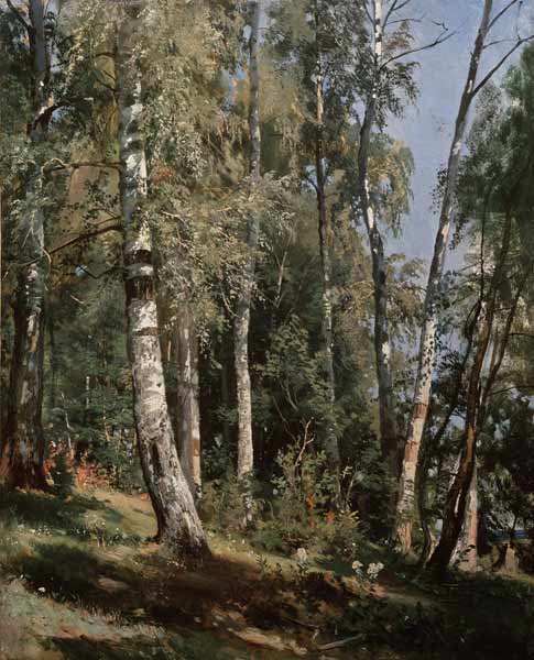 Birch grove from Iwan Iwanowitsch Schischkin