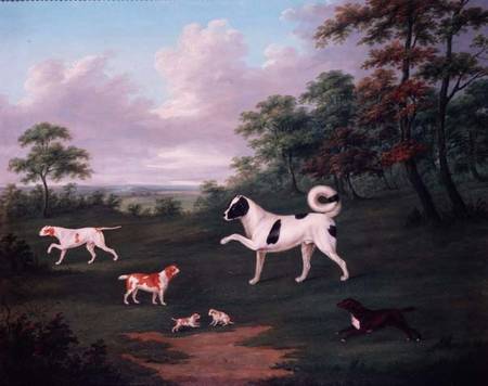 Sporting dogs in a landscape from J. Francis Sartorius