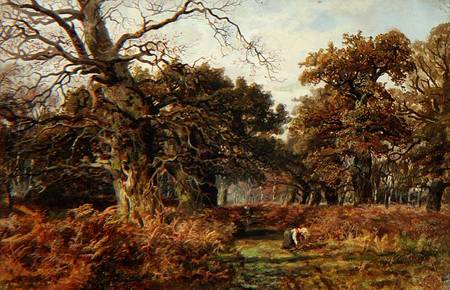 Sherwood Forest from J. Hudson Willis