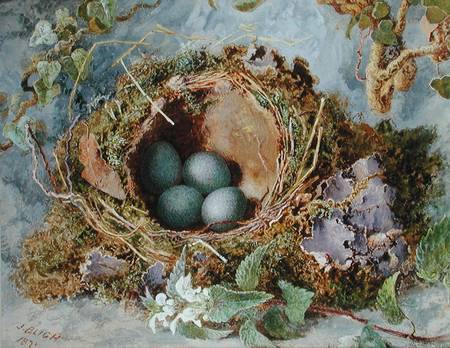 A Nest of Eggs from Jabez Bligh