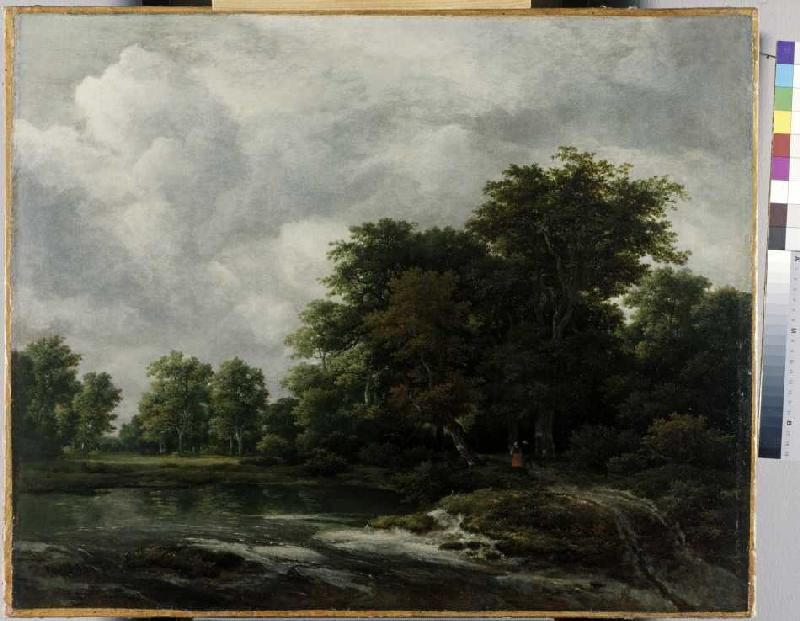 Wald nahe einem Weiher from Jacob Isaacksz van Ruisdael
