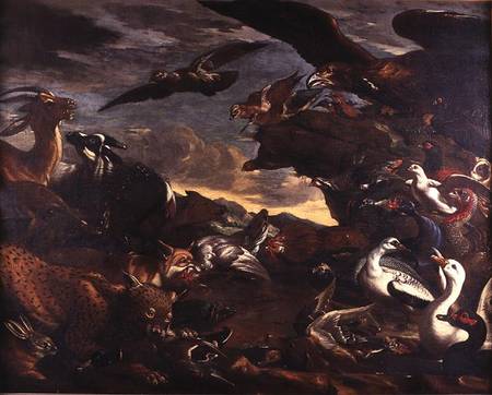 The Battle of the Birds and the Beasts from Jacob van der Kerckhoven