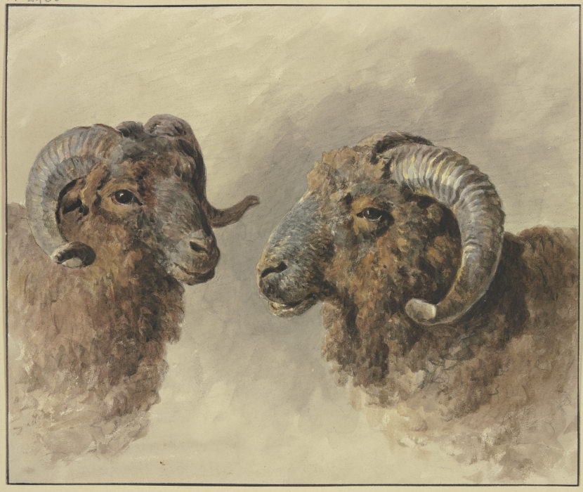 Two sheep from Jacob van Strij